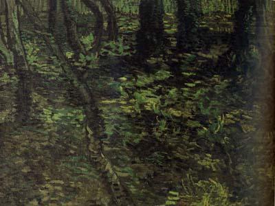 Undergrowth with Ivy (nn04), Vincent Van Gogh